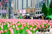 花YOUNG开新，美好「香郁」！方圆荟·海豚广场春节体验活动引爆全网精彩图集！